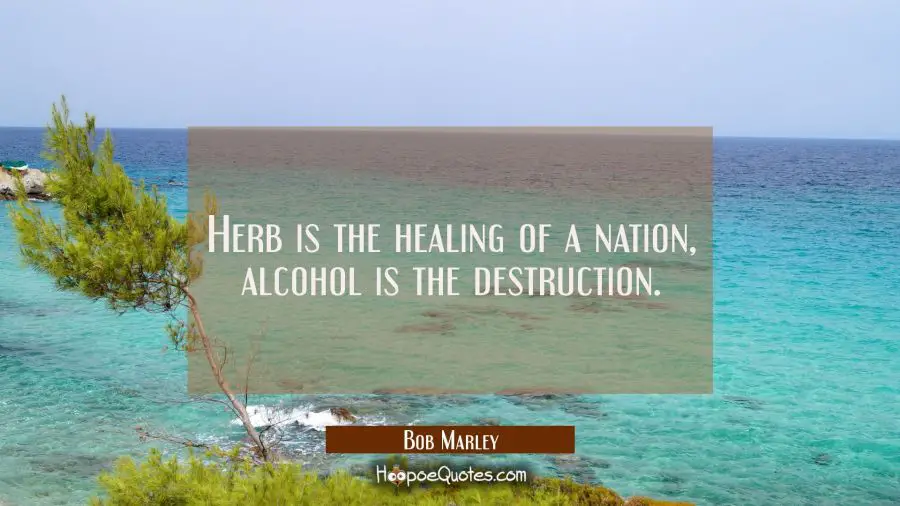 Herb is the healing of a nation alcohol is the destruction. Bob Marley Quotes