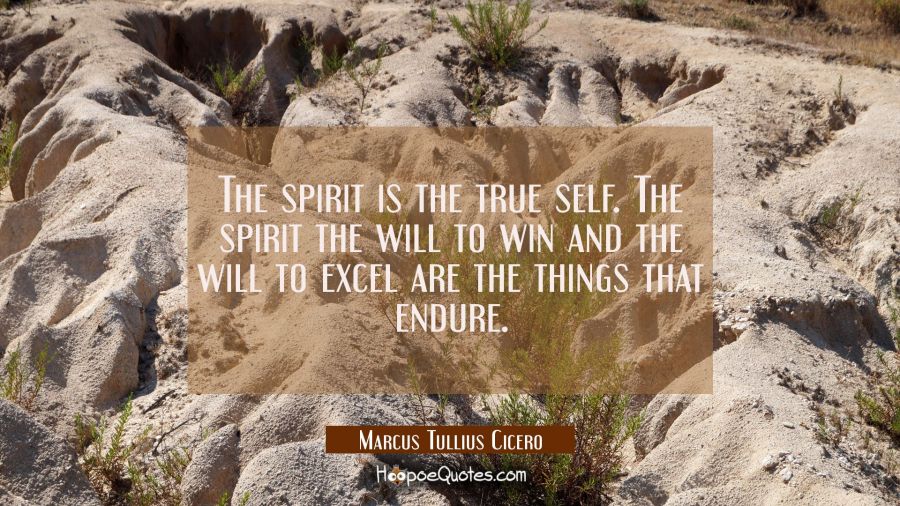The spirit is the true self. The spirit the will to win and the will to excel are the things that e Marcus Tullius Cicero Quotes