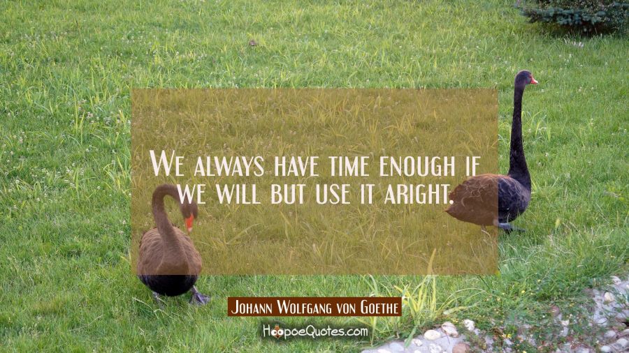 We always have time enough if we will but use it aright. Johann Wolfgang von Goethe Quotes