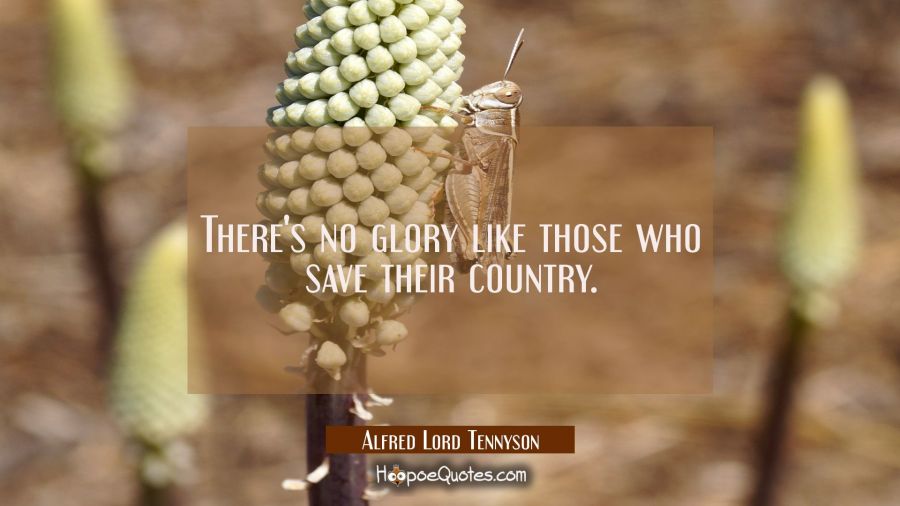 There's no glory like those who save their country. Alfred Lord Tennyson Quotes