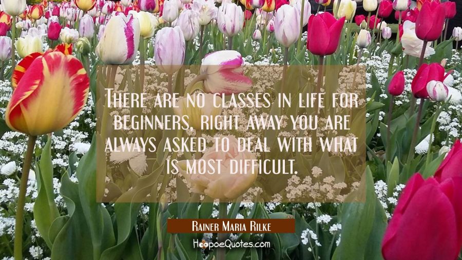 There are no classes in life for beginners, right away you are always asked to deal with what is mo Rainer Maria Rilke Quotes