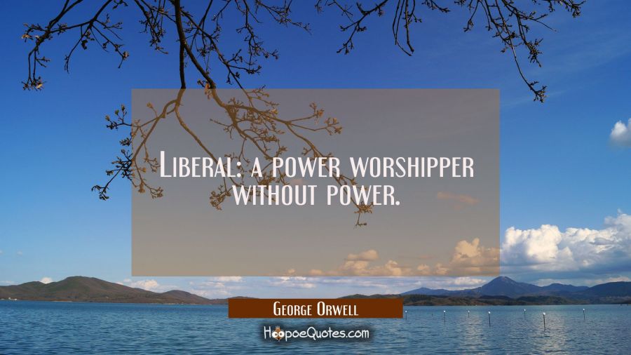 Liberal: a power worshipper without power. George Orwell Quotes
