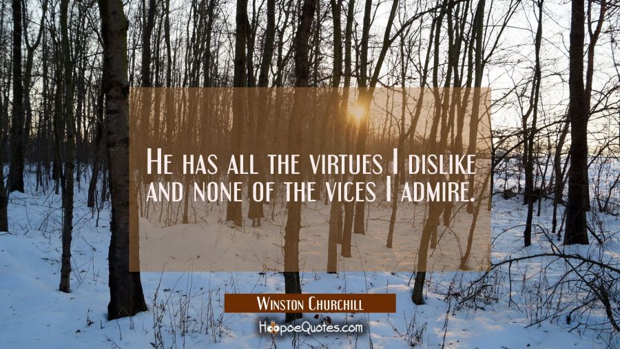 He has all the virtues I dislike and none of the vices I admire. Winston Churchill Quotes