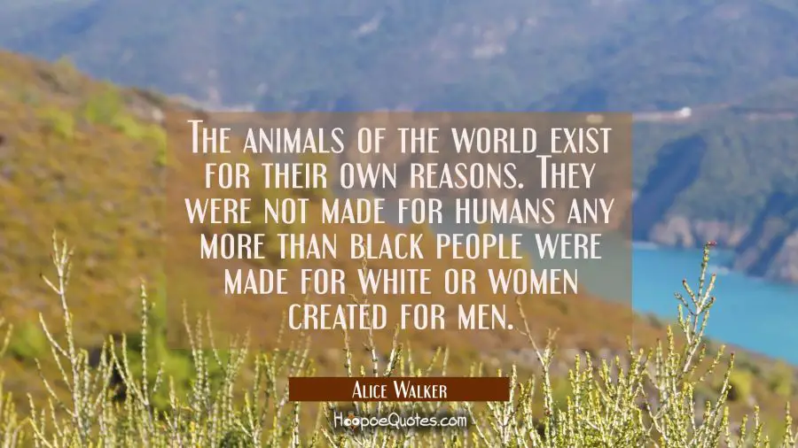 The animals of the world exist for their own reasons. They were not made for humans any more than b Alice Walker Quotes