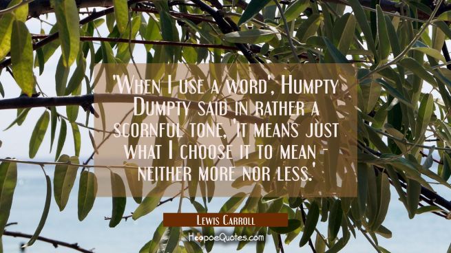 'When I use a word', Humpty Dumpty said in rather a scornful tone, 'it means just what I choose it t