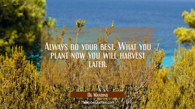 Quote of the Day - November 14, 2018