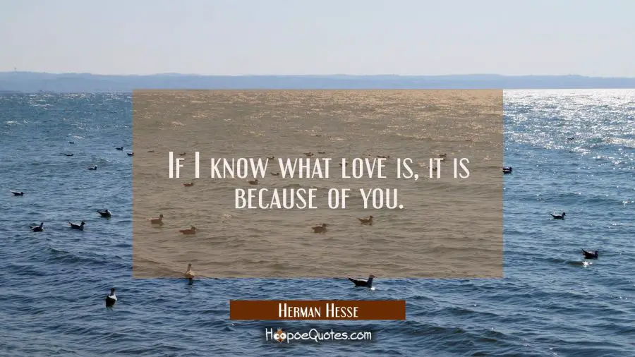 If I know what love is, it is because of you. Herman Hesse Quotes