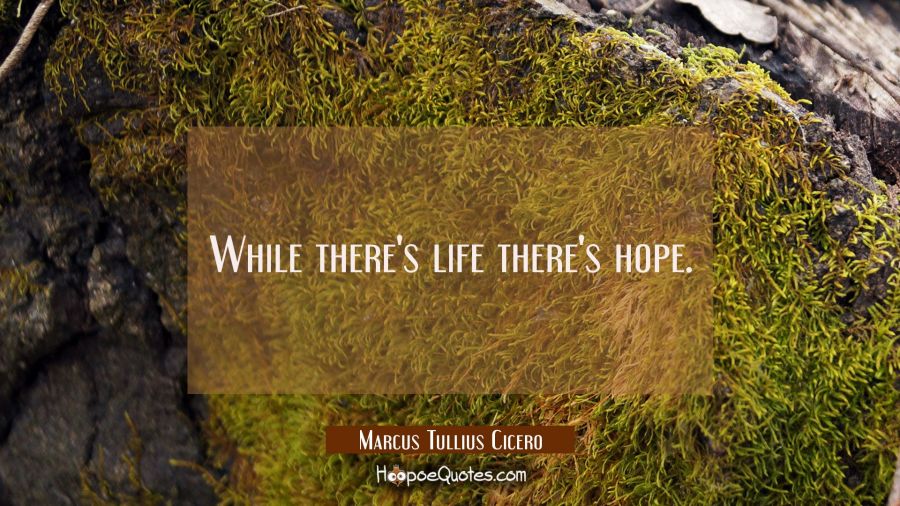 While there's life there's hope. Marcus Tullius Cicero Quotes