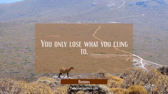 Quote of the Day - October 25, 2018