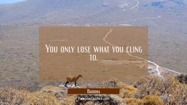 Quote of the Day - October 25, 2018 Quotes