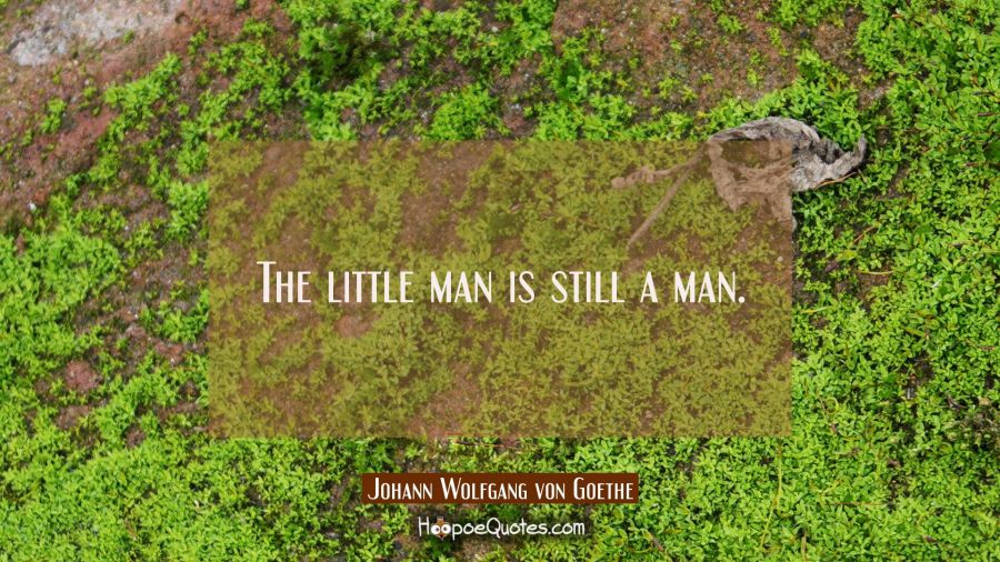 The little man is still a man. Johann Wolfgang von Goethe Quotes