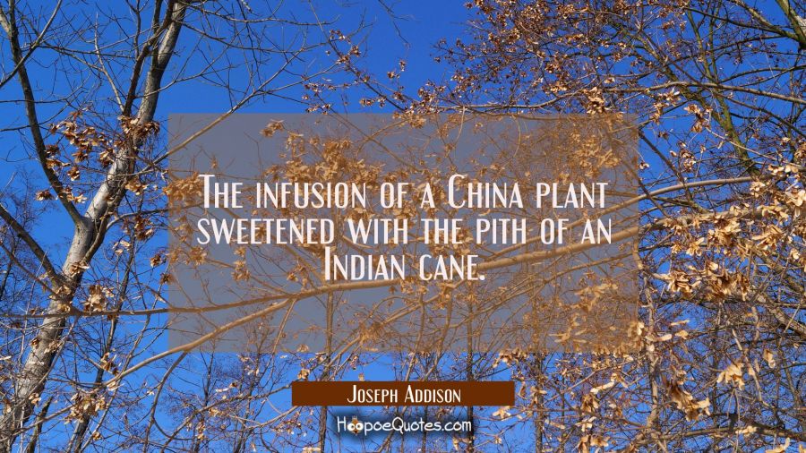 The infusion of a China plant sweetened with the pith of an Indian cane. Joseph Addison Quotes