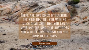There are two kinds of teachers: the kind that fill you with so much quail shot that you can&#039;t move Robert Frost Quotes