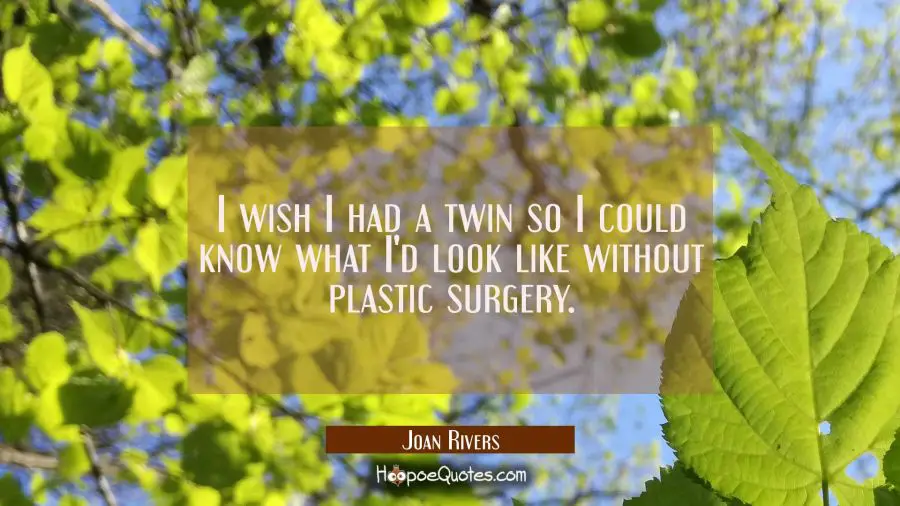I wish I had a twin so I could know what I&#039;d look like without plastic surgery. Joan Rivers Quotes