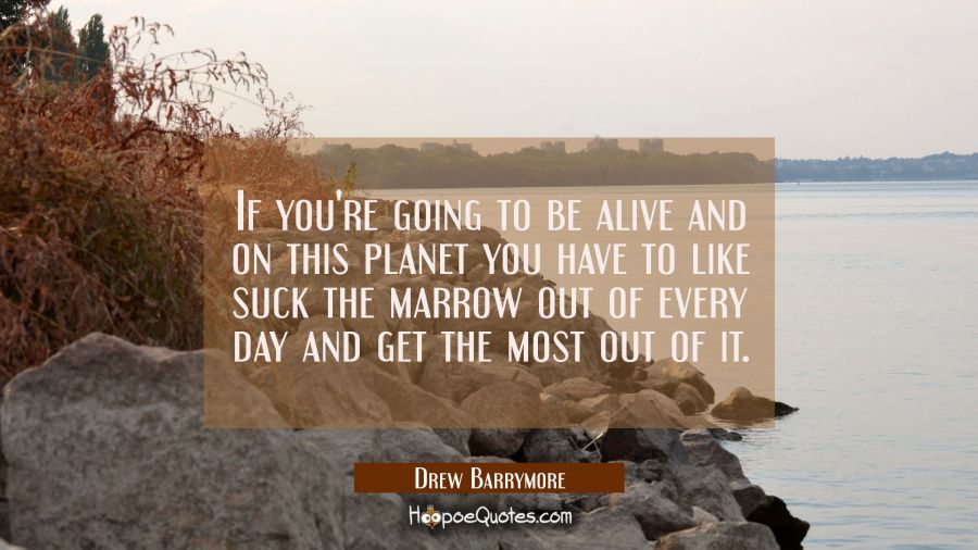 If you're going to be alive and on this planet you have to like suck the marrow out of every day an Drew Barrymore Quotes