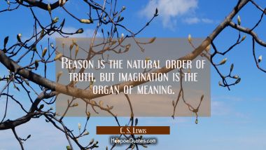 Reason is the natural order of truth, but imagination is the organ of meaning. C. S. Lewis Quotes