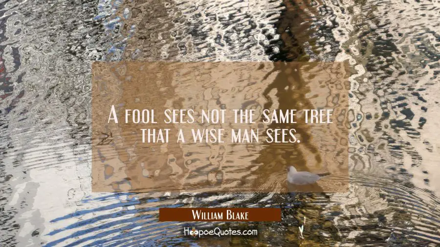 A fool sees not the same tree that a wise man sees. William Blake Quotes
