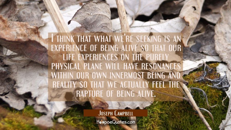 I think that what we're seeking is an experience of being alive so that our life experiences on the Joseph Campbell Quotes