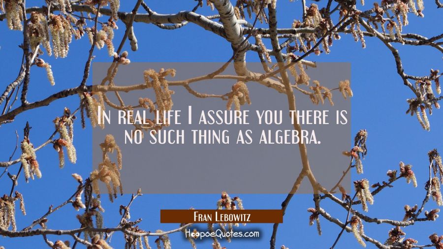 In real life I assure you there is no such thing as algebra. Fran Lebowitz Quotes