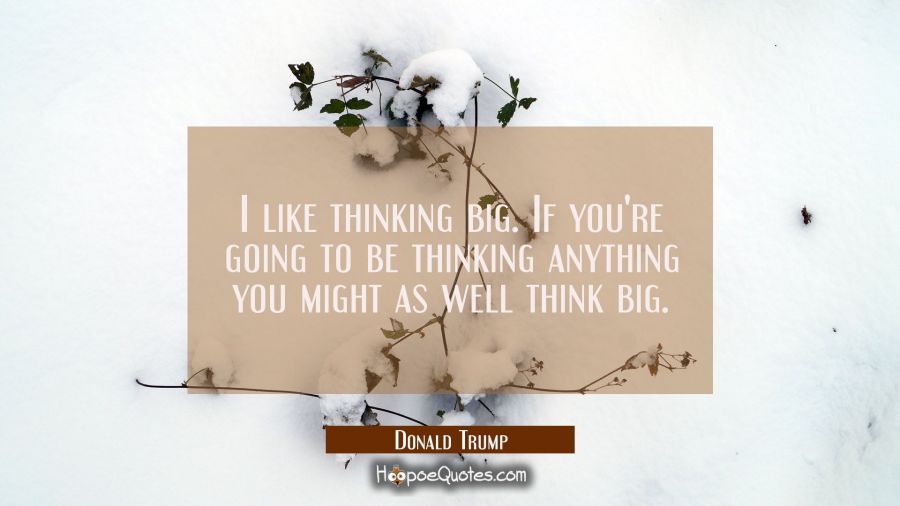 I like thinking big. If you're going to be thinking anything you might as well think big. Donald Trump Quotes