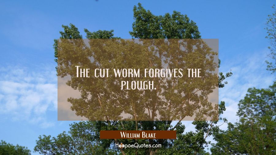 The cut worm forgives the plough. William Blake Quotes