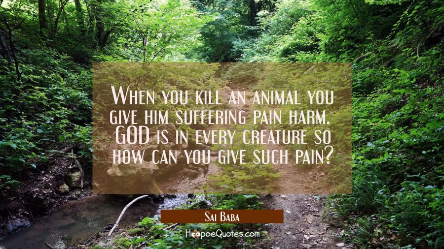 When you kill an animal you give him suffering pain harm.  GOD is in every creature so how can you  Sai Baba Quotes