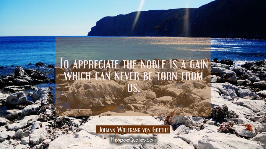 To appreciate the noble is a gain which can never be torn from us. Johann Wolfgang von Goethe Quotes