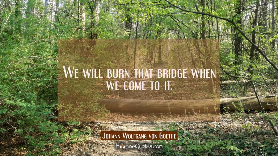 We will burn that bridge when we come to it. Johann Wolfgang von Goethe Quotes
