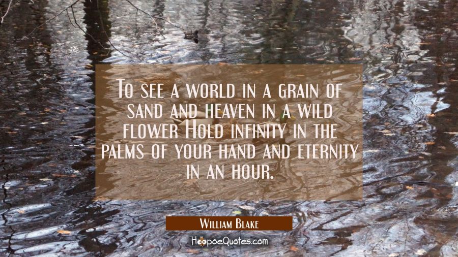 To see a world in a grain of sand and heaven in a wild flower Hold infinity in the palms of your ha William Blake Quotes