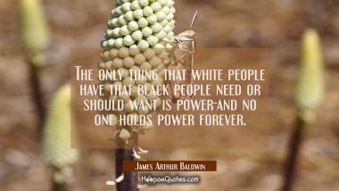 The only thing that white people have that black people need or should want is power-and no one hol