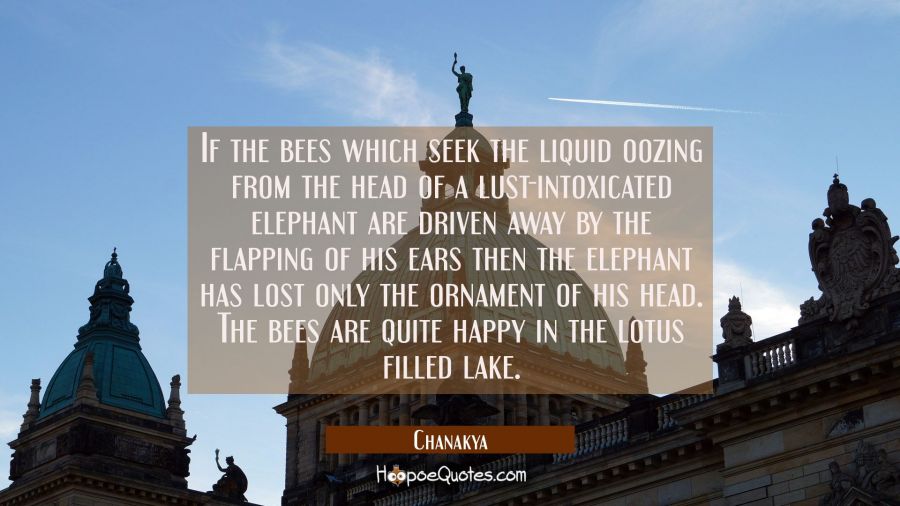 If the bees which seek the liquid oozing from the head of a lust-intoxicated elephant are driven aw Chanakya Quotes