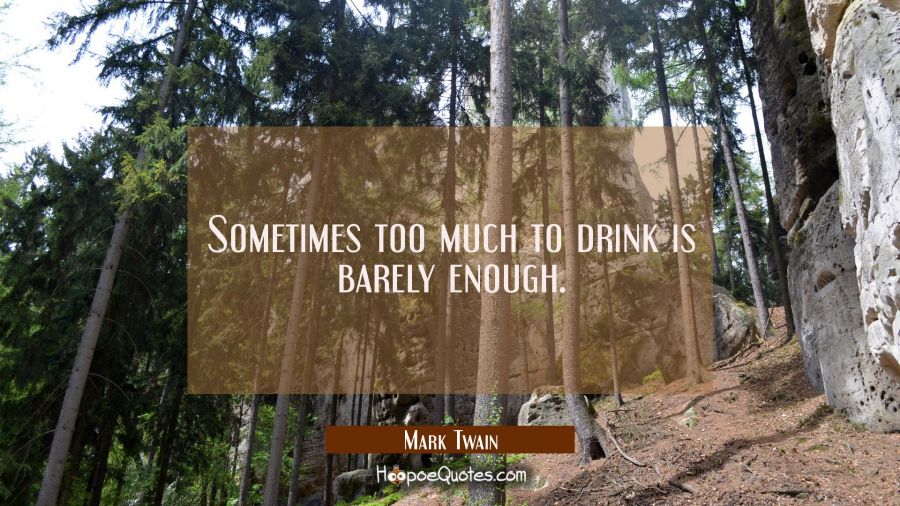 Sometimes too much to drink is barely enough. Mark Twain Quotes