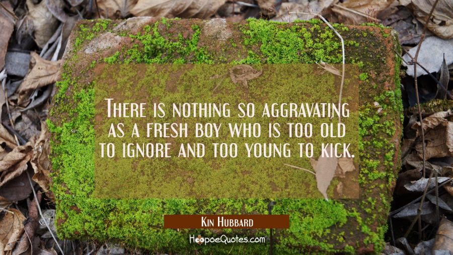 There is nothing so aggravating as a fresh boy who is too old to ignore and too young to kick. Kin Hubbard Quotes