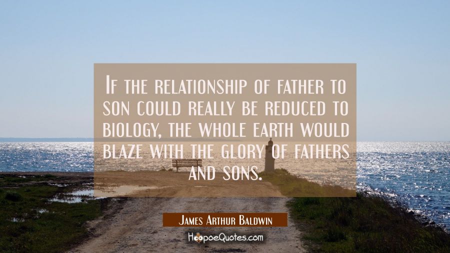 If the relationship of father to son could really be reduced to biology the whole earth would blaze James Arthur Baldwin Quotes