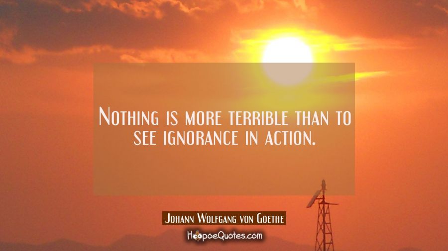 Nothing is more terrible than to see ignorance in action. Johann Wolfgang von Goethe Quotes