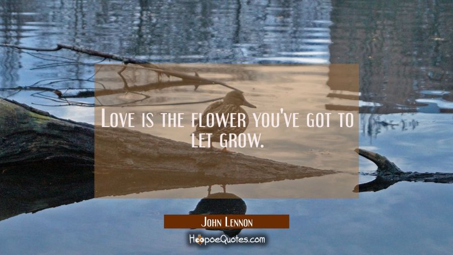 Love is the flower you've got to let grow. John Lennon Quotes
