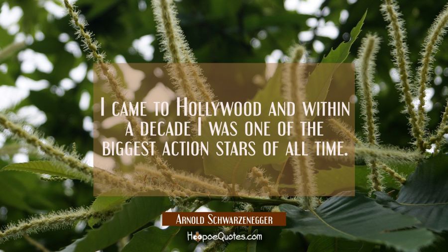 I came to Hollywood and within a decade I was one of the biggest action stars of all time. Arnold Schwarzenegger Quotes