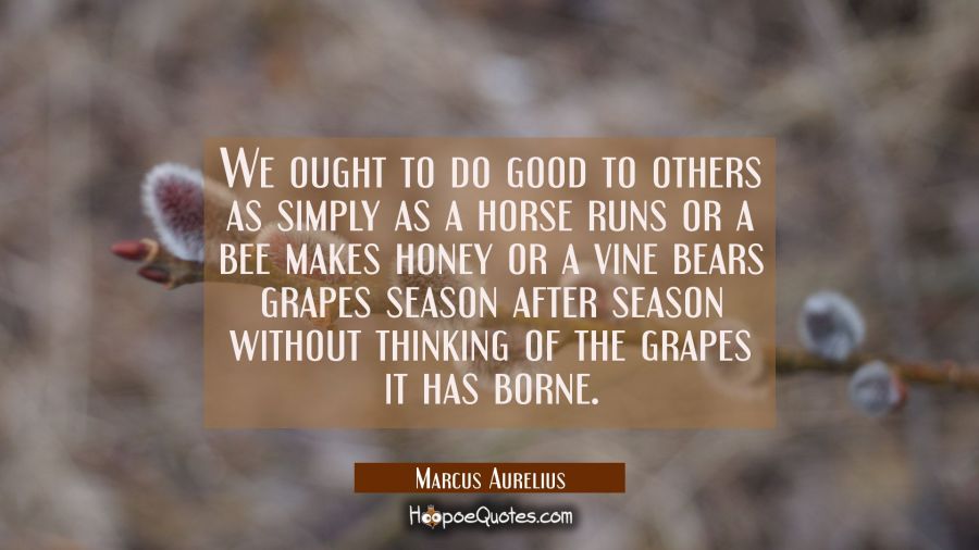 We ought to do good to others as simply as a horse runs or a bee makes honey or a vine bears grapes Marcus Aurelius Quotes