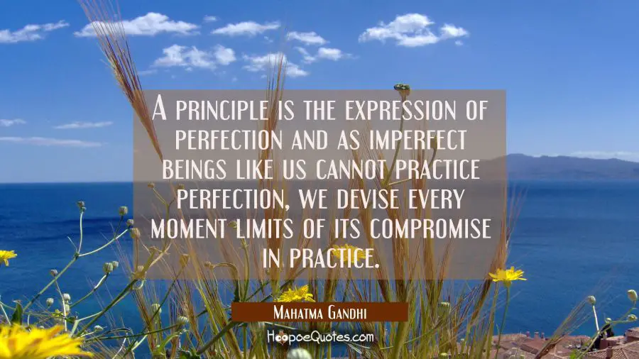 A principle is the expression of perfection and as imperfect beings like us cannot practise perfect Mahatma Gandhi Quotes
