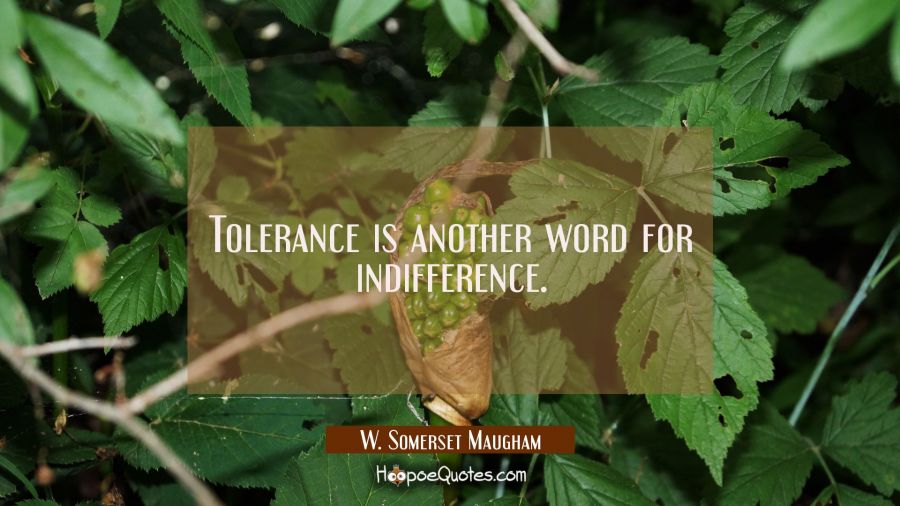 Tolerance is another word for indifference. W. Somerset Maugham Quotes
