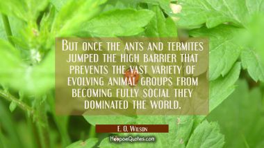 But once the ants and termites jumped the high barrier that prevents the vast variety of evolving a