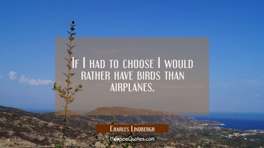 If I had to choose I would rather have birds than airplanes. Charles Lindbergh Quotes