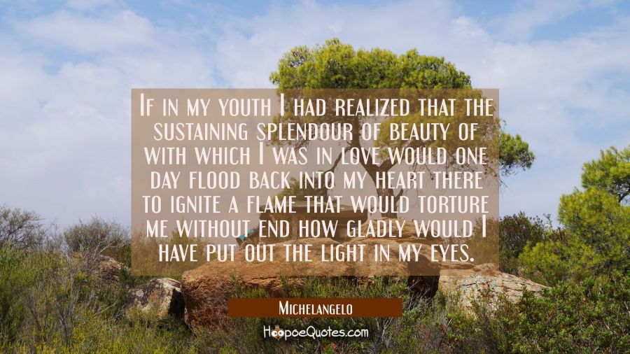If in my youth I had realized that the sustaining splendour of beauty of with which I was in love w Michelangelo Quotes