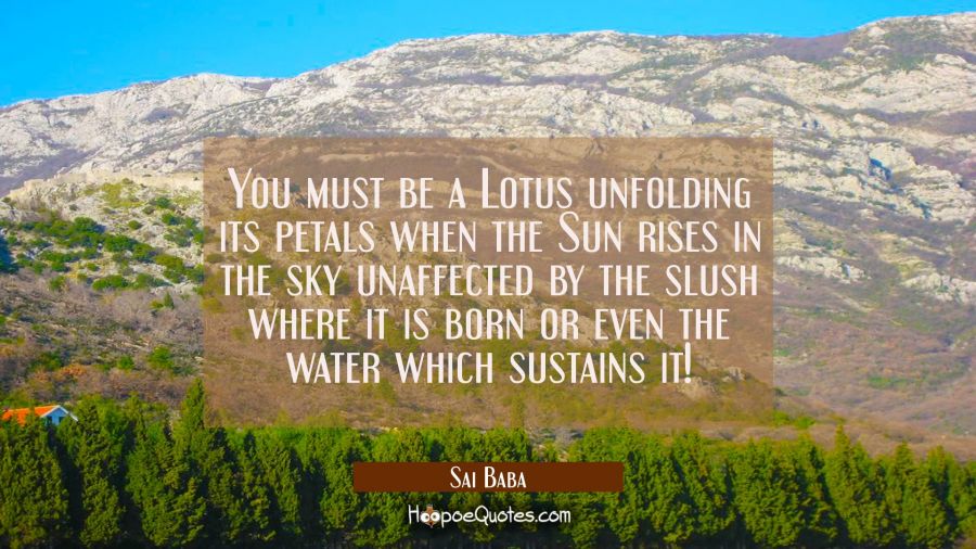 You must be a Lotus unfolding its petals when the Sun rises in the sky unaffected by the slush wher Sai Baba Quotes