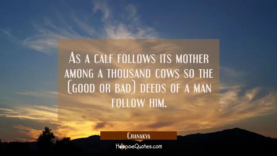 As a calf follows its mother among a thousand cows so the (good or bad) deeds of a man follow him. Chanakya Quotes