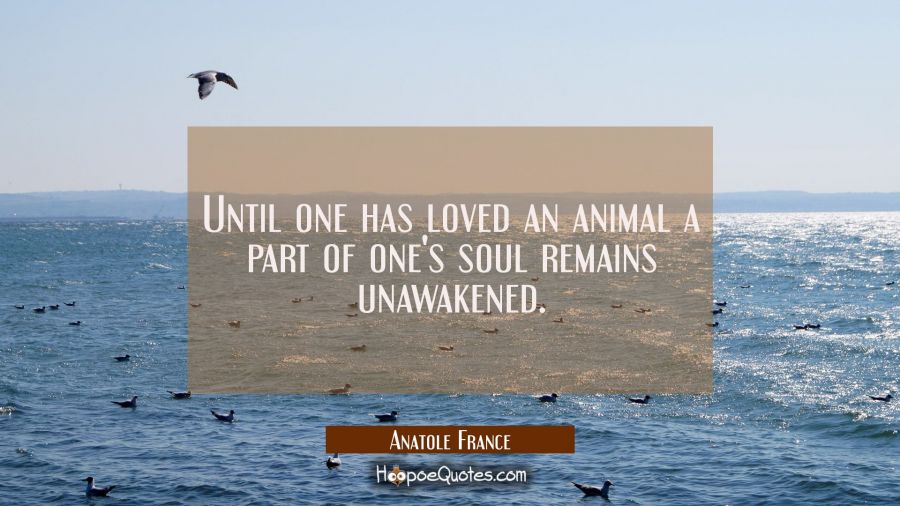 Until one has loved an animal a part of one's soul remains unawakened. Anatole France Quotes