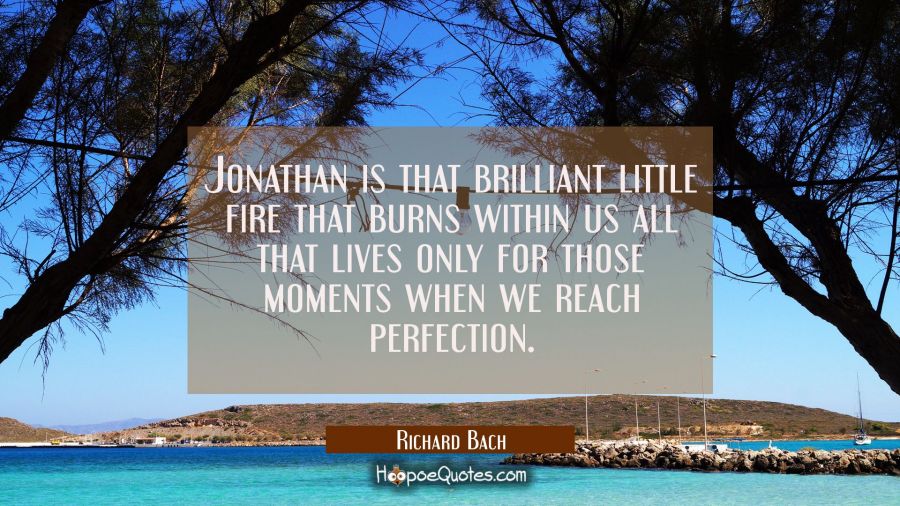 Jonathan is that brilliant little fire that burns within us all that lives only for those moments w Richard Bach Quotes
