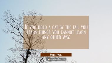 If you hold a cat by the tail you learn things you cannot learn any other way.