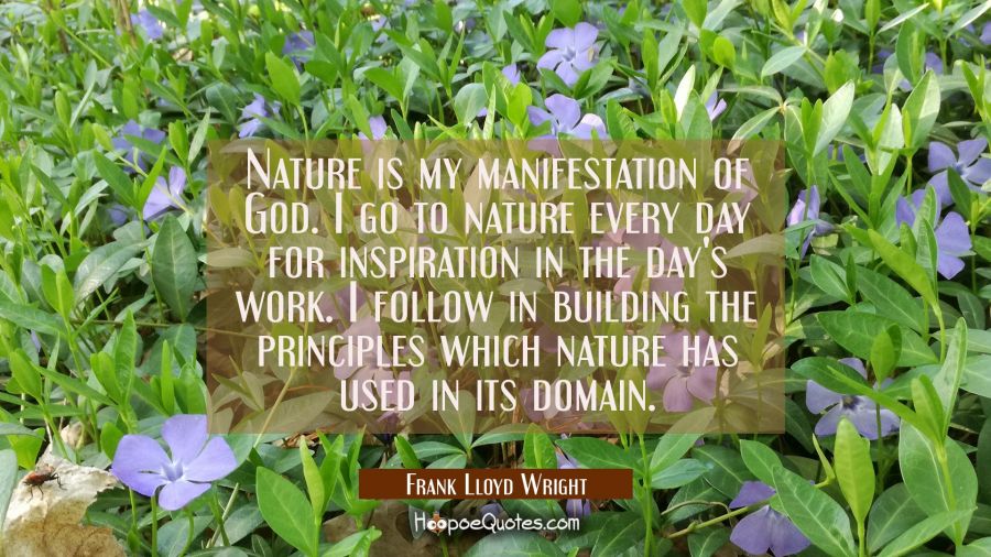 Nature is my manifestation of God. I go to nature every day for inspiration in the day's work. I fo Frank Lloyd Wright Quotes