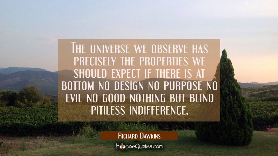 The universe we observe has precisely the properties we should expect if there is at bottom no desi Richard Dawkins Quotes